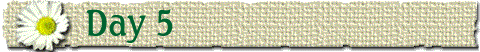 Day 5