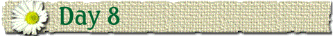 Day 8